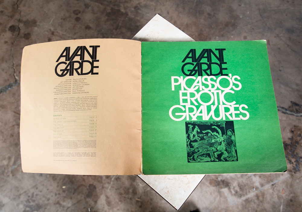 Pablo Picasso Erotic Gravures Avant Garde Vintage Nude Paperback illustrated - Image 4