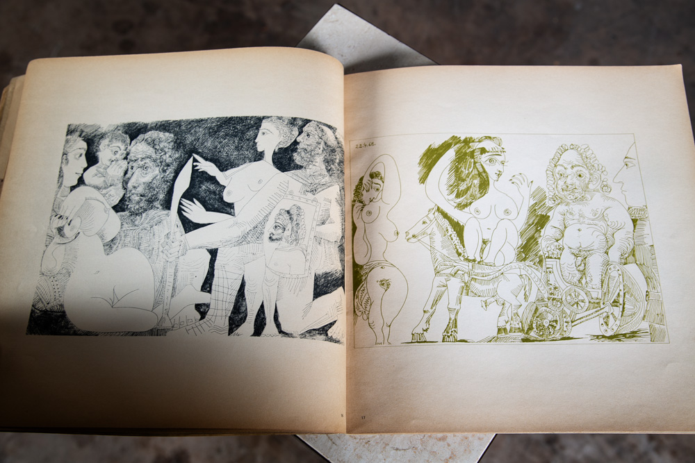 Pablo Picasso Erotic Gravures Avant Garde Vintage Nude Paperback illustrated - Image 9