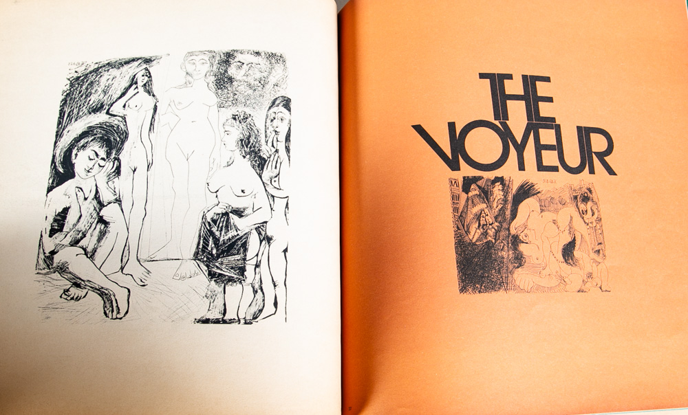Pablo Picasso Erotic Gravures Avant Garde Vintage Nude Paperback illustrated - Image 7