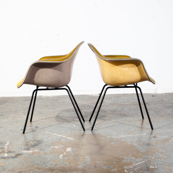 Mid Century Modern Shell Chairs 2 Fiberglass Herman Miller Eames Mustard Yellow Arm Set Armchair DAX H Base - Image 2