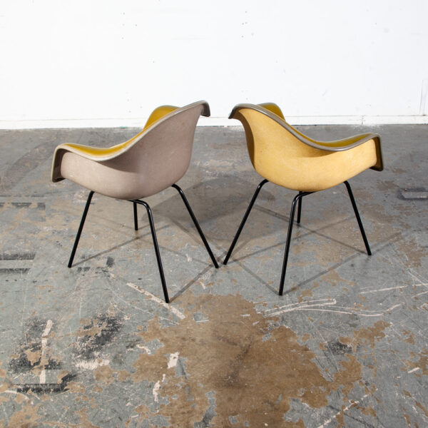 Mid Century Modern Shell Chairs 2 Fiberglass Herman Miller Eames Mustard Yellow Arm Set Armchair DAX H Base - Image 4