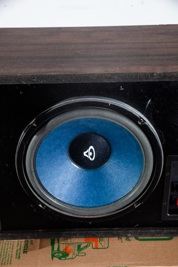 Vintage Sub Woofer Down Firing 12 inch Cerwin Vega Walnut Box SW-12B Passive - Image 3
