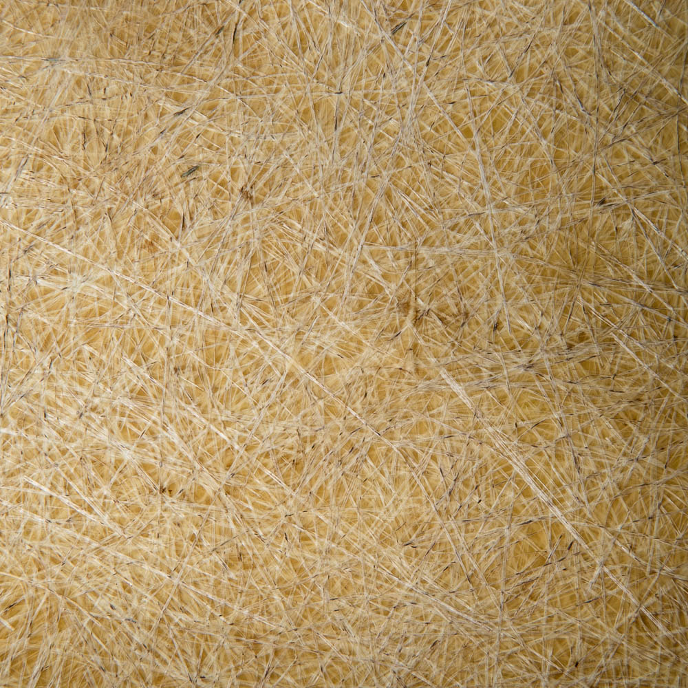 Mid Century Modern Side Shell Chair Pair Set Herman Miller Eames Eiffel Ochre VG - Image 7