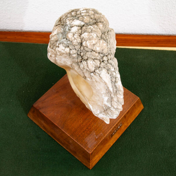 Mid Century Modern Stone Sculpture Ram Martha G Huey Aries Statue Carved Marble - Image 6