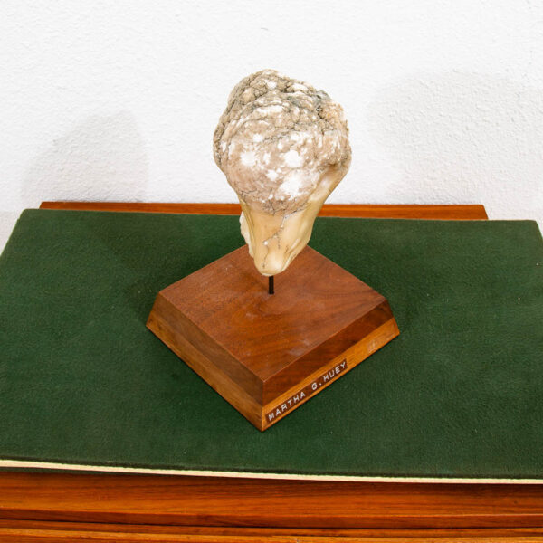 Mid Century Modern Stone Sculpture Ram Martha G Huey Aries Statue Carved Marble - Image 12
