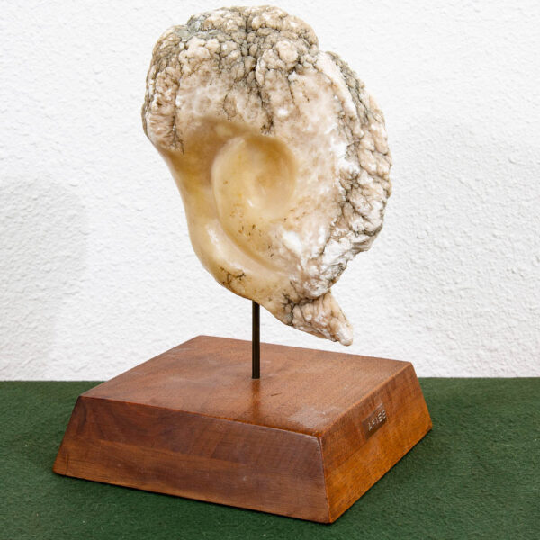 Mid Century Modern Stone Sculpture Ram Martha G Huey Aries Statue Carved Marble - Image 2