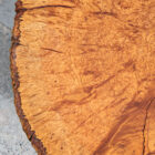Mid Century Modern Coffee Table Live Edge Hairpin Wrought Iron Legs Burl Wood - Image 12