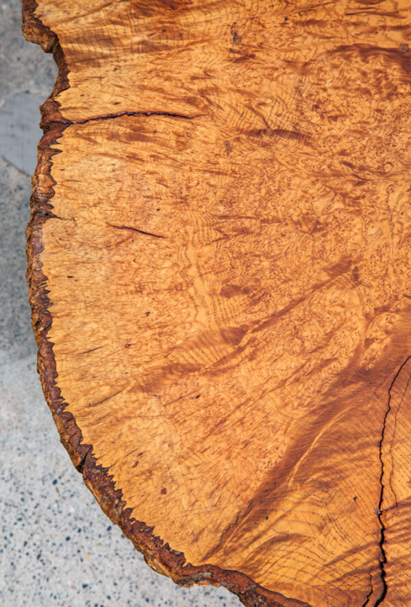 Mid Century Modern Coffee Table Live Edge Hairpin Wrought Iron Legs Burl Wood - Image 12