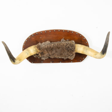 Antique Wall Hanging Horns Steer Bull 1913 Artisan Original Wall Art Custom